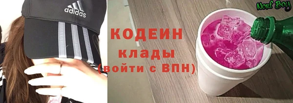 скорость Вяземский
