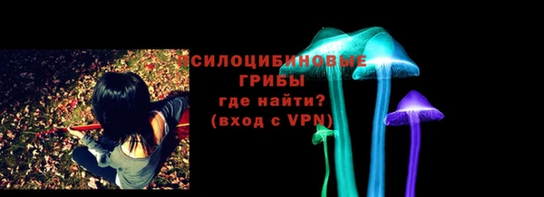 скорость Вяземский