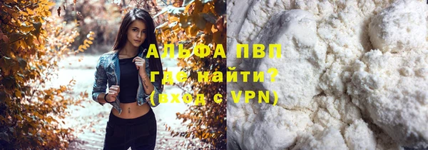скорость Вяземский