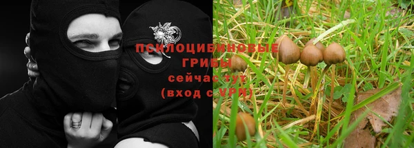 прущая мука Вязники